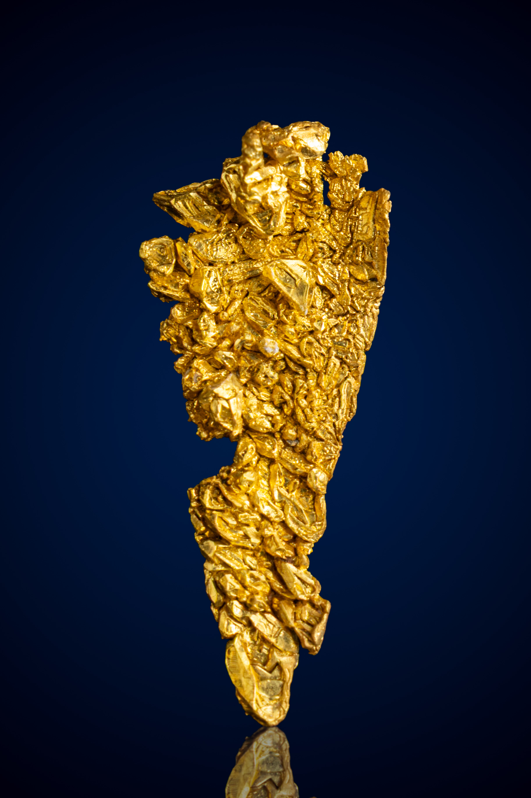 Outstanding, Tapered Natural Gold Nugget - Farncomb Hill, CO - 1.67 grams (image for) Outstanding, Tapered Natural Gold Nugget - Farncomb Hill, CO - 1.67 grams
